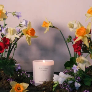 STUDIO SOL CANDLE DAFFODIL