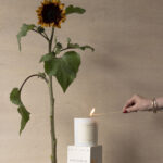 STUDIO SOL CANDLE SUNFLOWER